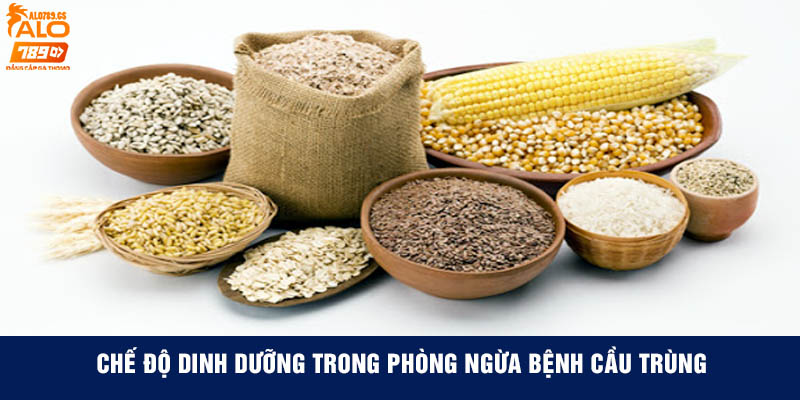 chế độ dinh dưỡng trong phòng ngừa bệnh cầu trùng